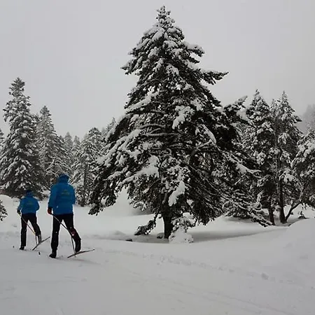 Apartament Bpirineos-escaleta *