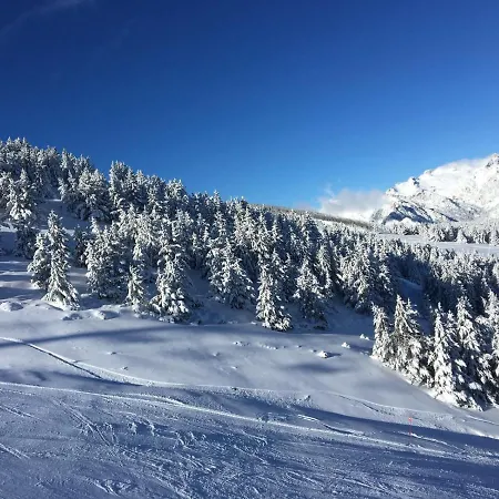 Bpirineos-escaleta *